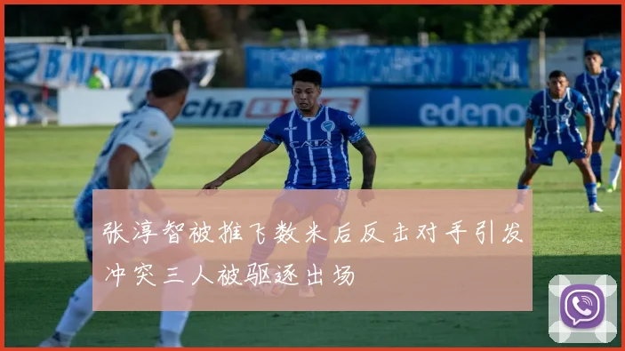 张淳智被推飞数米后反击对手引发冲突三人被驱逐出场